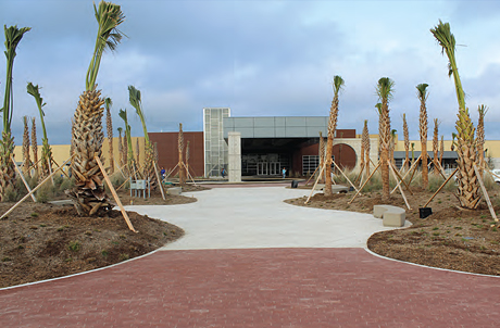 A new modern public library on a landscaped lot, previously the site of an abandoned big box store.