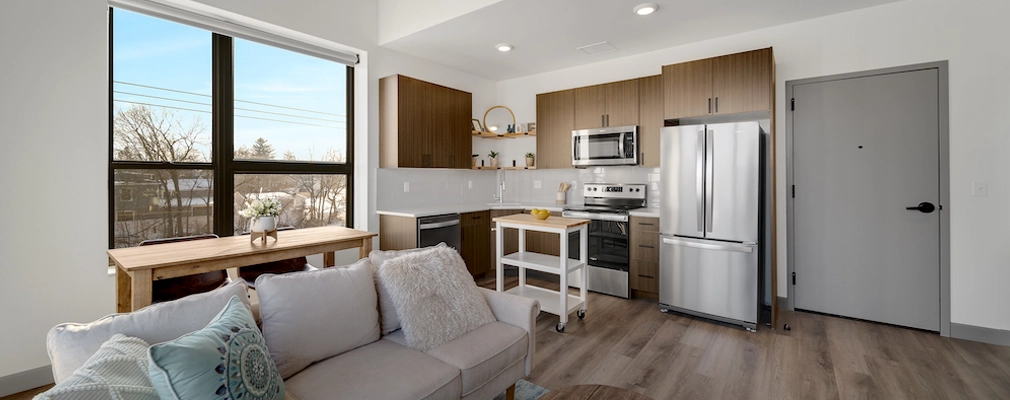 Apartment interior with living room and kitchen.