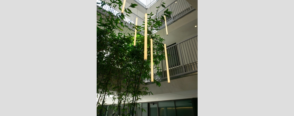 Open-air atrium with trees and hanging tubular lights.