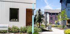 Landscaped walking path connecting two- and three-story residential buildings on both sides.