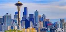 Cityscape view of downtown Seattle with trees in the foreground.