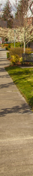 Overlay background image of a house with garden and sidewalk