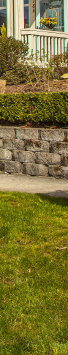 Overlay background image of a house with garden and sidewalk