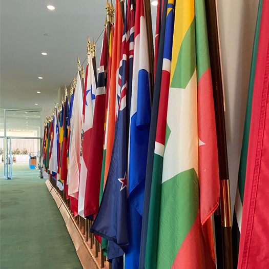 Flags of the United Nations.